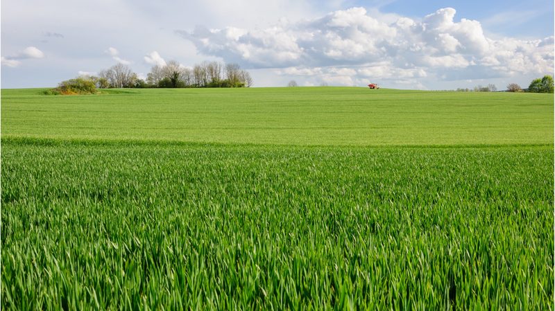 Néonicotinoïdes : une guerre entre agriculteurs et écologistes avec le RN en embuscade