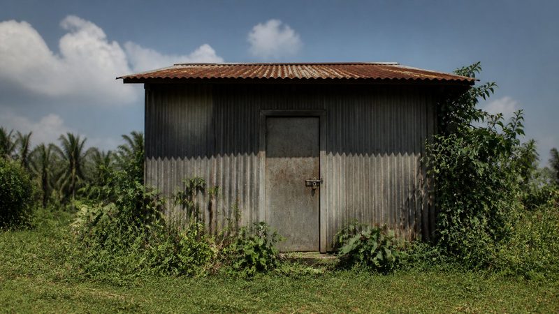 Weathered corrugated metal wall of a rural warehouse, single padlocked door, tropical vegetation encroaching at its base, harsh midday sun