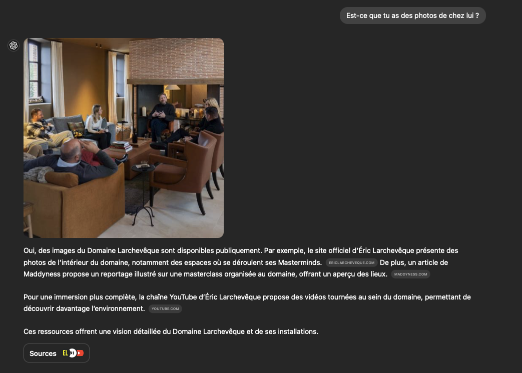 Screenshot of a conversation with a consumer AI, reproduced in the study